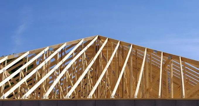 montar estructura de madera para poner un tejado en Elche de la Sierra