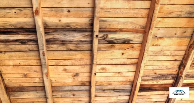 Problemas de Filtraciones de Agua en el Tejado en Alacete