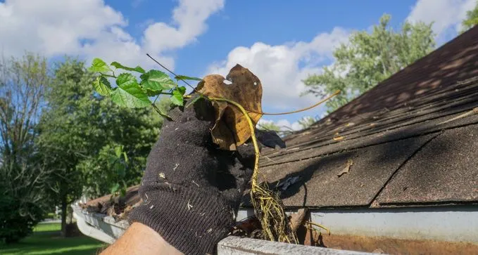 realizar mantenimiento de canalones en Villamalea